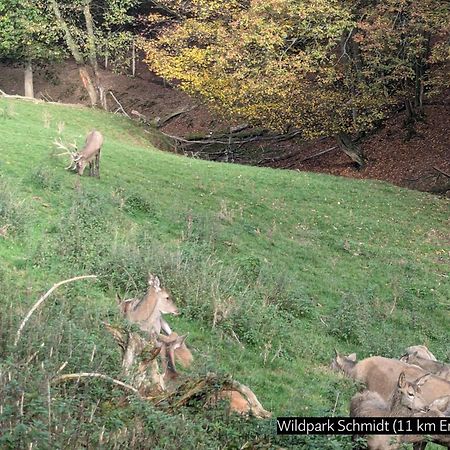 Eifel-Ferienhaus Landblick Hürtgenwald Eksteriør bilde