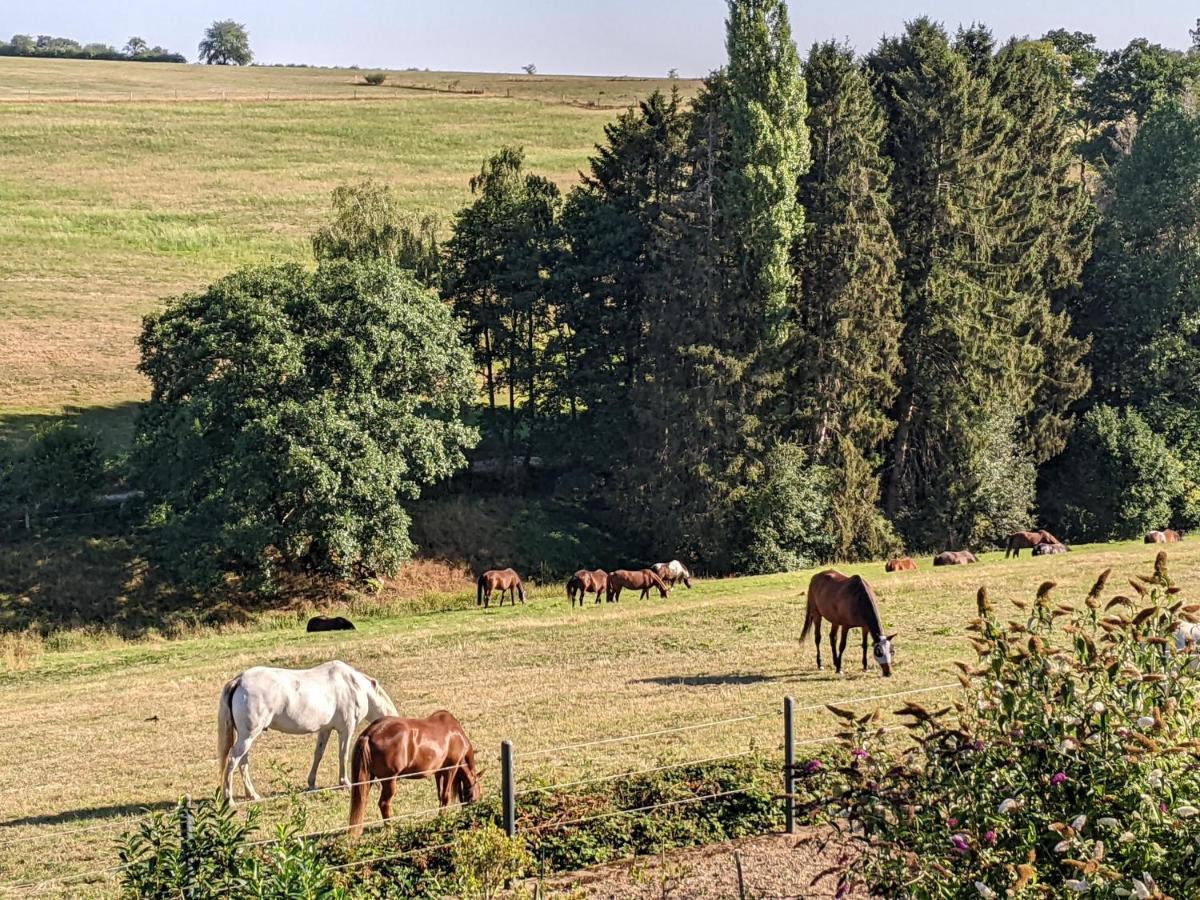 Eifel-Ferienhaus Landblick Hürtgenwald Eksteriør bilde