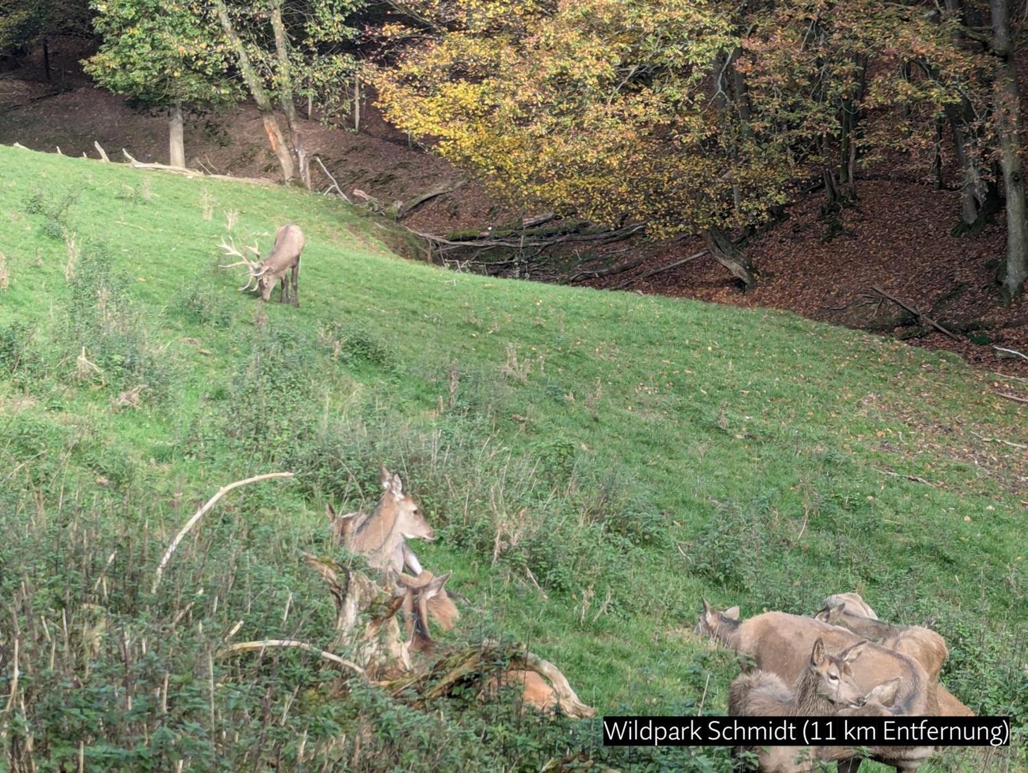 Eifel-Ferienhaus Landblick Hürtgenwald Eksteriør bilde